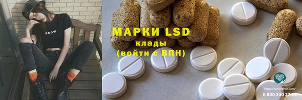 ПСИЛОЦИБИНОВЫЕ ГРИБЫ Верхний Тагил