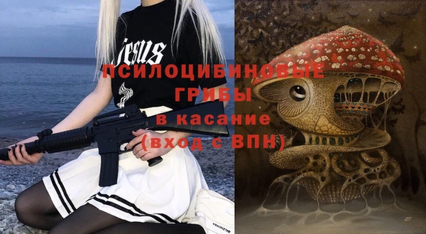 ПСИЛОЦИБИНОВЫЕ ГРИБЫ Верхний Тагил