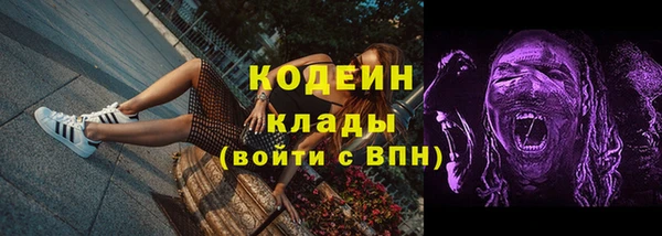 дмт Верея